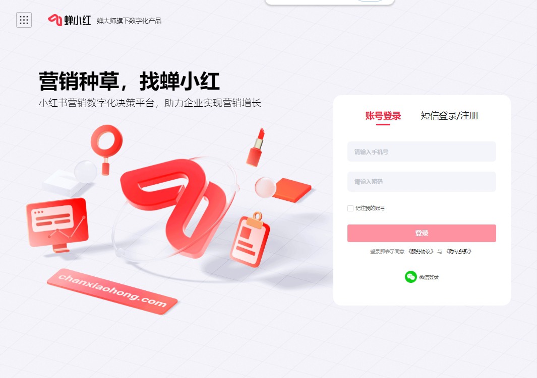蝉小红
